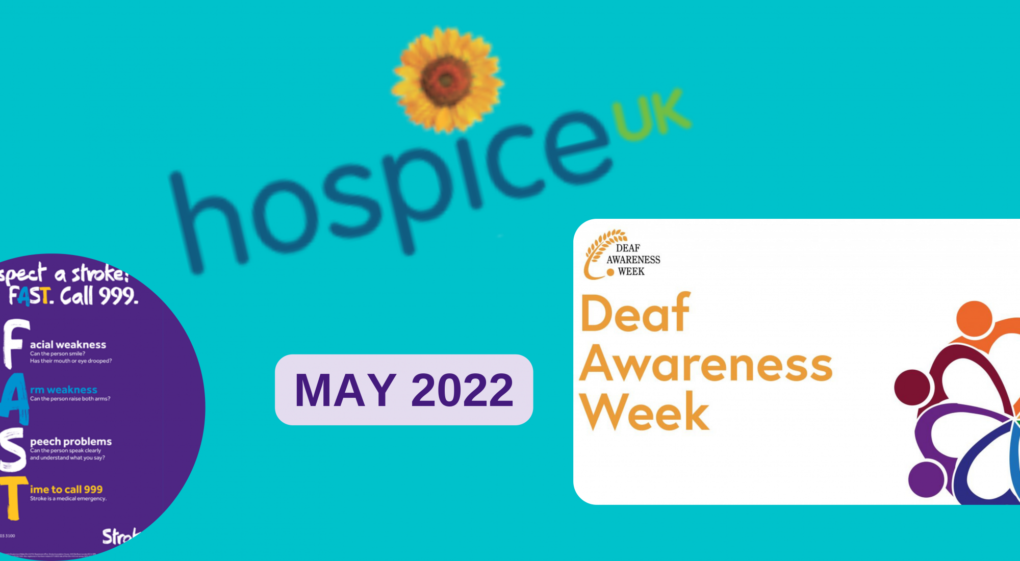 The last month of Spring - How will you make May matter? - Written by Peter Bowen-Walker Clinical Negligence